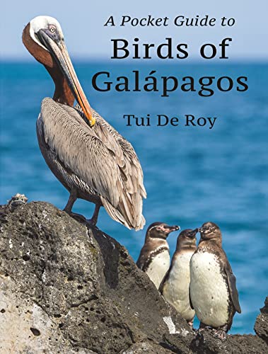 Book cover featuring a pelican and penguins, titled “Birds of Galapagos.”