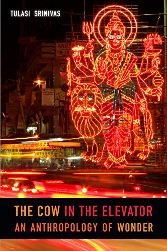 Book cover featuring a brightly lit, multi-armed deity against a blurred city backdrop.