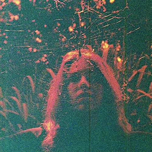 The alt text for the image is: "Distressed image of a person with long hair, surrounded by foliage."