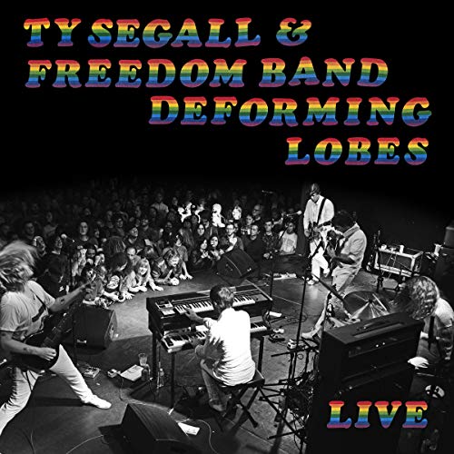 Ty Segall & Freedom Band album cover, live concert photo in background.