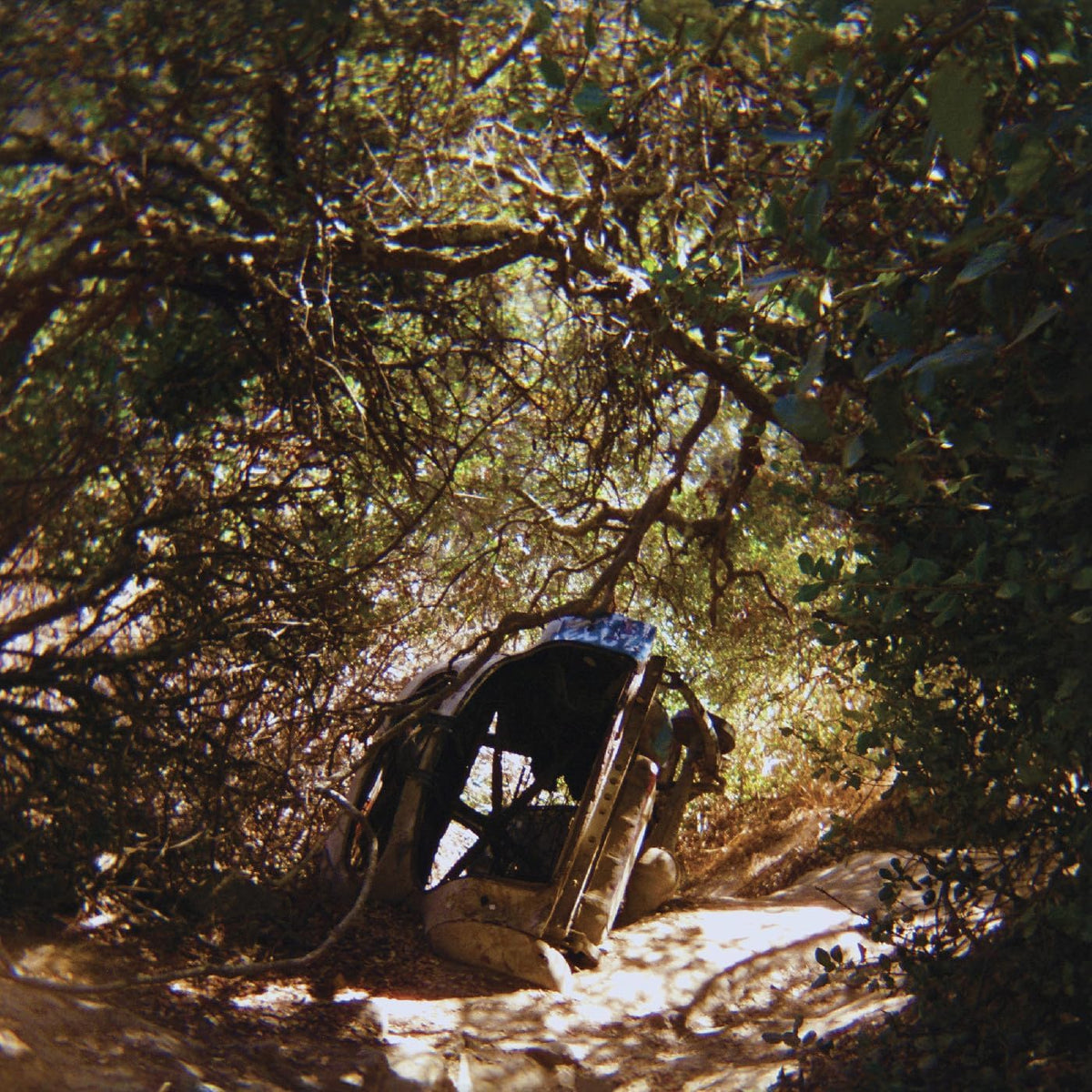 Record album cover depicting a dilapidated building amidst dense foliage.