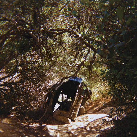 Record album cover depicting a dilapidated building amidst dense foliage.
