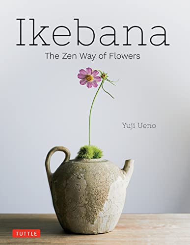 Book cover featuring a single pink flower in a textured ceramic teapot vase.