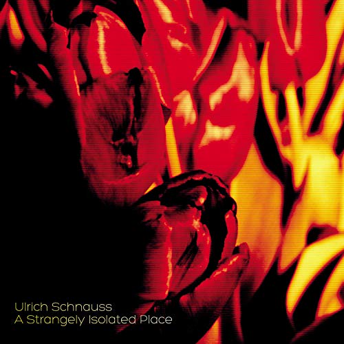 Close-up of red and yellow tulips against a dark background with digital scan lines.