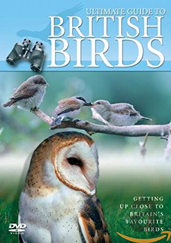 DVD cover featuring British birds, including an owl and smaller songbirds.