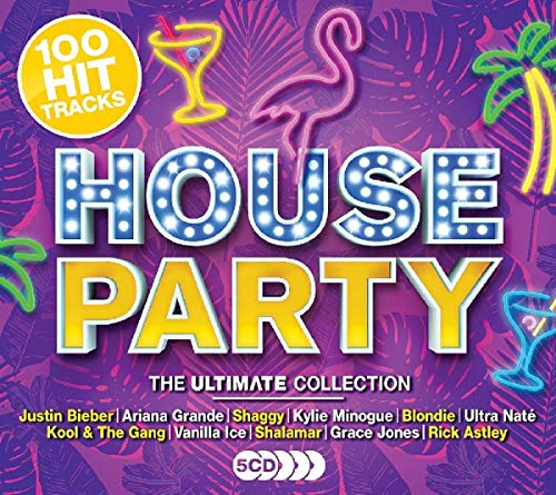 CD cover for "Ultimate House Party" with neon lights, palm trees, and flamingos.