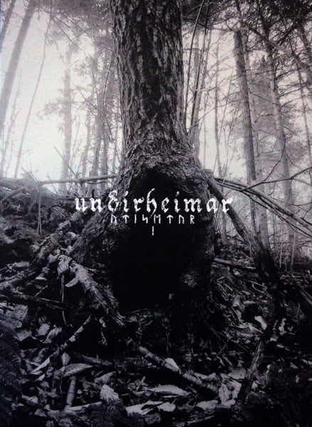Dark forest scene with tree roots and the band name "undirheimar".
