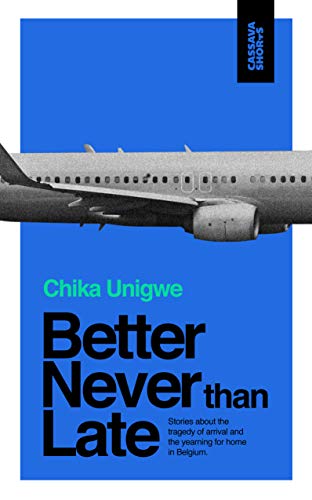 Book cover with a blue background, a gray airplane, and bold black text.