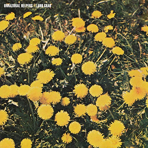 CD cover featuring a field of yellow dandelions with text in the top left.