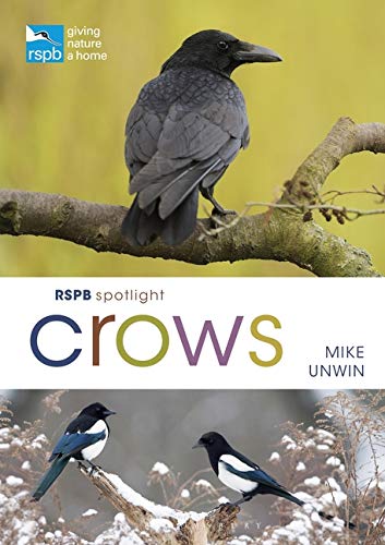 Book cover featuring a crow perched on a branch, with smaller images below.