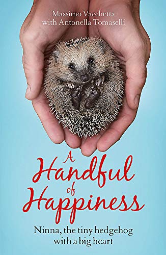 A small hedgehog curled up in two cupped human hands against a blue background.