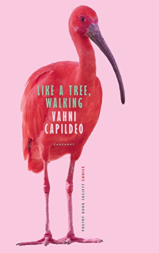 Book cover featuring a full-body image of a red ibis.