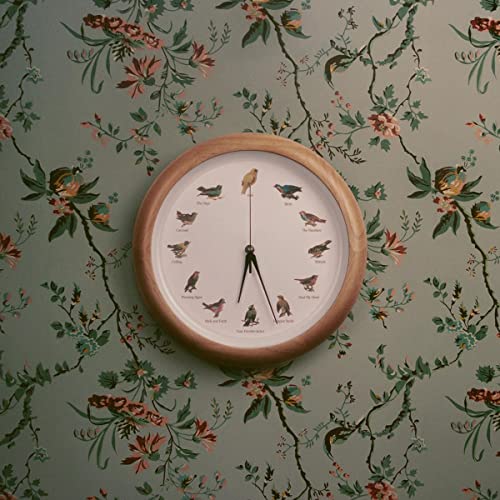 CD cover with a clock face decorated with illustrated birds.