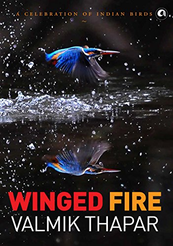 Book cover featuring a vibrant kingfisher diving into water.