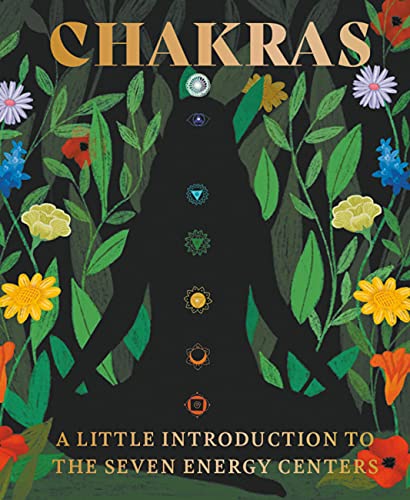 Book cover depicting a silhouetted figure with seven colorful chakra symbols.