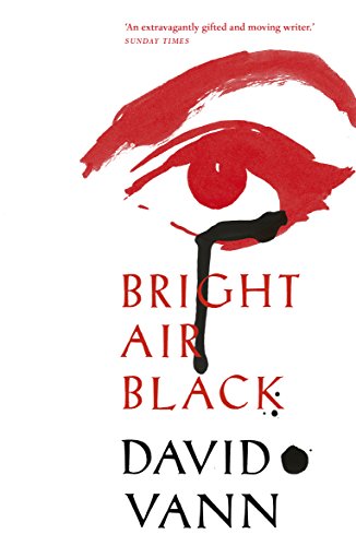 Book cover: red eye illustration above black and white text.