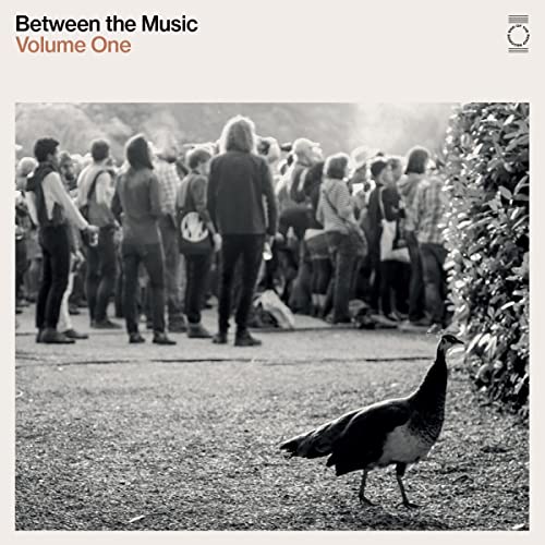 Vinyl album cover featuring a crowd and a peafowl in grass.