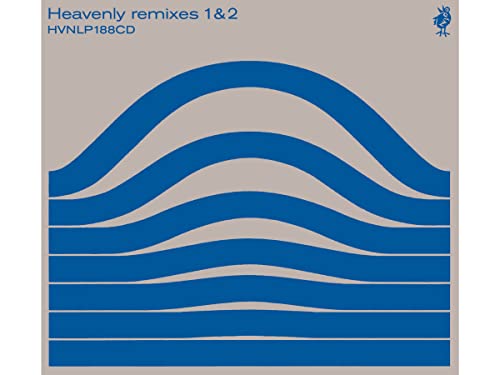 CD cover with wavy blue lines on a gray background.