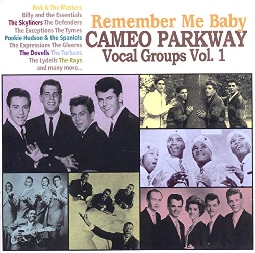 Various Artists - Remember Me Baby-Cameo Parkway Vocal Groups Vol 1 [CD]