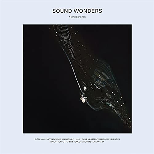 Album cover featuring a spider on a web against a black background.