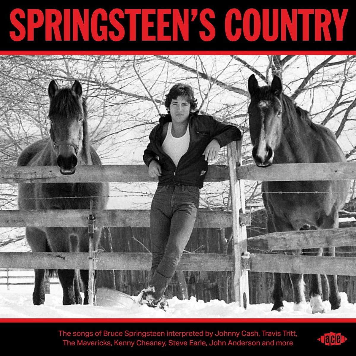 CD album cover titled Springsteens Country featuring a landscape illustration of a rural road.