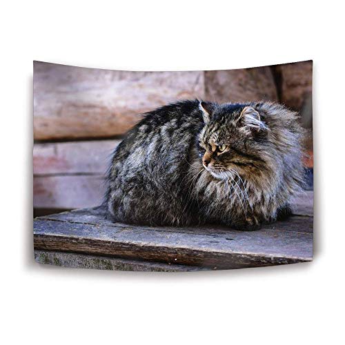 A fluffy brown and grey tabby cat sitting on a wooden surface.
