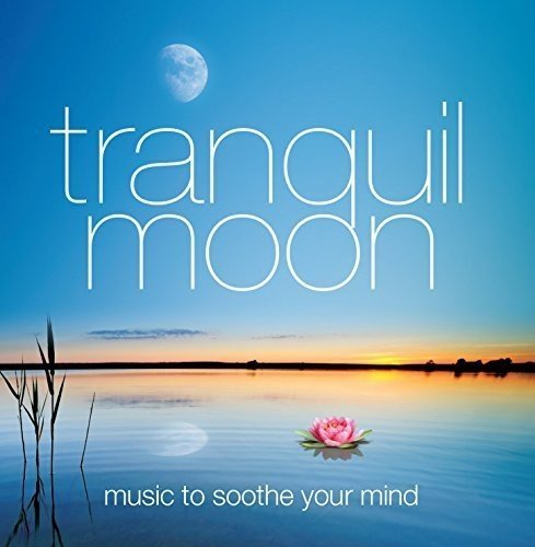 "Album cover with serene lake scene, pink flower, and full moon, titled 'tranquil moon'."