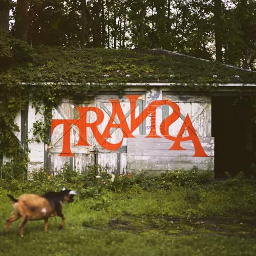 A goat walks in front of a shed with the word TRANSA in red letters.
