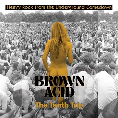 Vinyl album cover: crowd photo with orange figure and "Brown Acid" text.