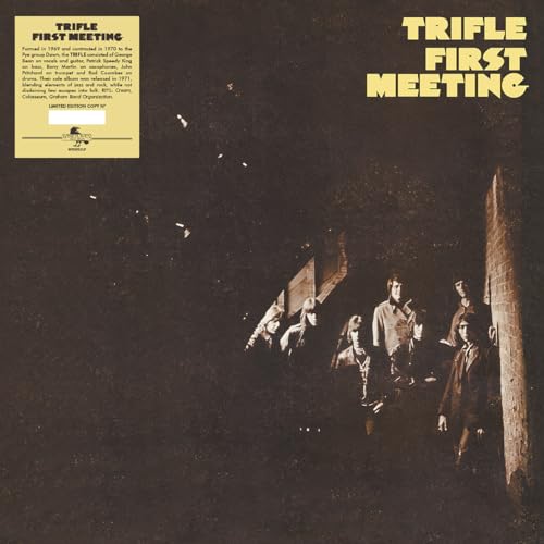 Vinyl cover for Trifle First Meeting featuring a band photo in dark sepia tones.