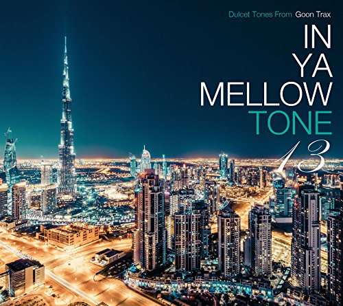 Nighttime cityscape with the Burj Khalifa and text reading In Ya Mellow Tone 13.
