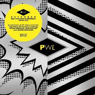 Various - PWL Extended Big Hits & Surprises V2 [VINYL]