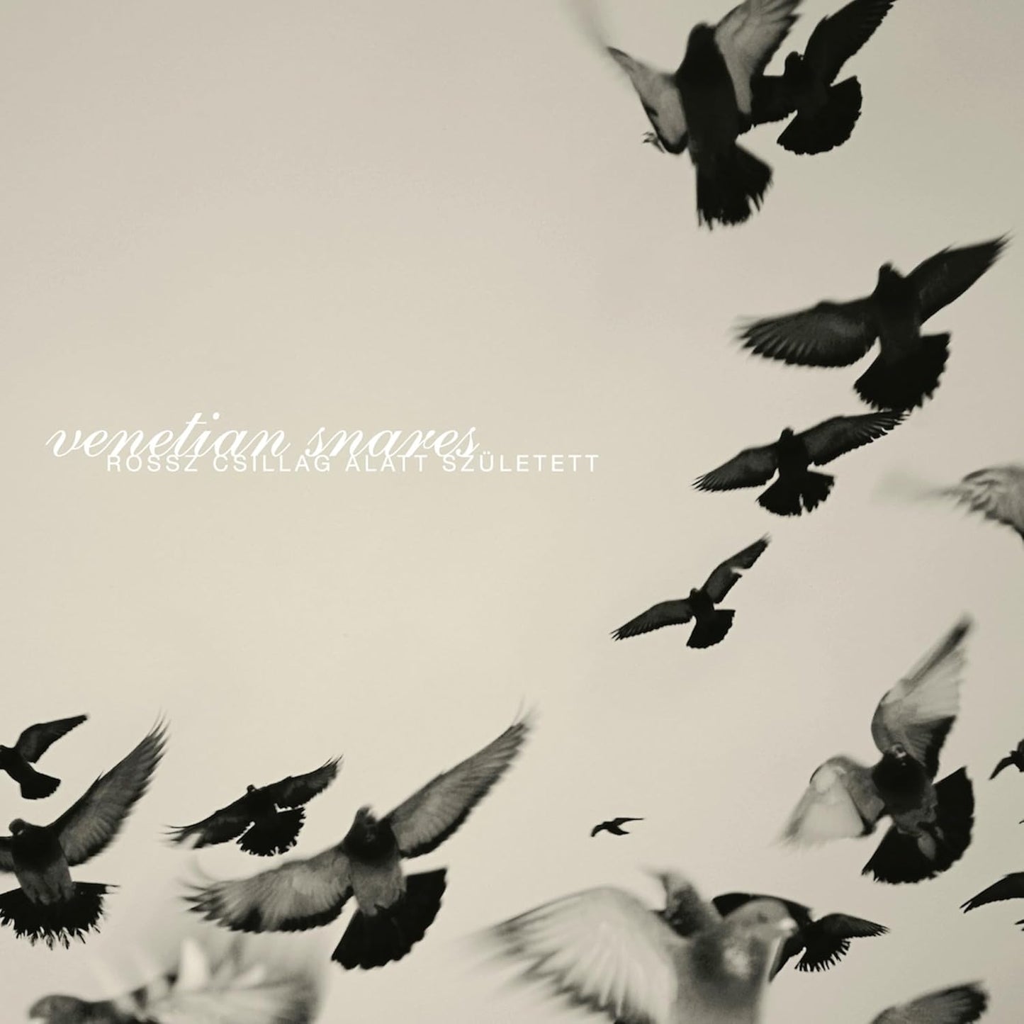 Black and white album cover featuring a flock of birds in flight.