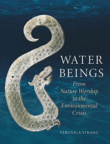 Book cover: carved stone spiral with dragon, title “Water Beings”.