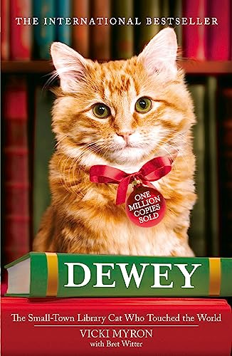 A fluffy orange cat with a red bow sits in front of library shelves.