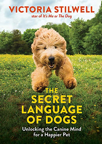 Book cover featuring a golden doodle running in a grassy field.