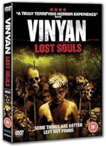 DVD cover for horror film "Vinyan" featuring a young boy and skulls.