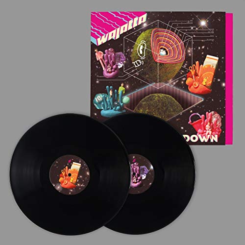 Two black vinyl records with colorful album artwork in the background.