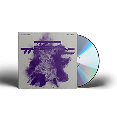 CD case and disc for The Wallflowers’ “Exit Wounds” album.