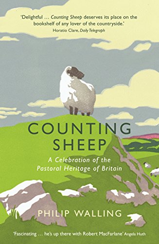 Book cover: a sheep on a green hill, title "Counting Sheep.
