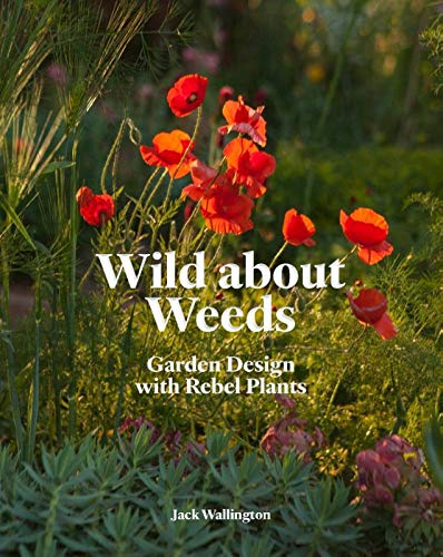 Book cover featuring red poppies and green foliage, titled "Wild About Weeds".