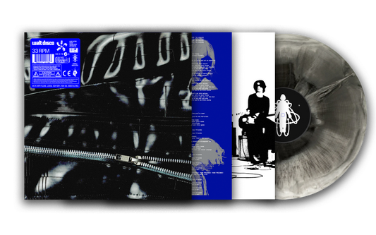 Walt Disco vinyl LP with blue cover art and marbled grey record.