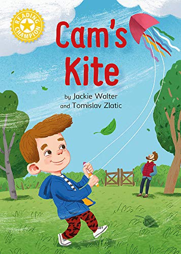 Boy flying a pink and white kite in a green park.