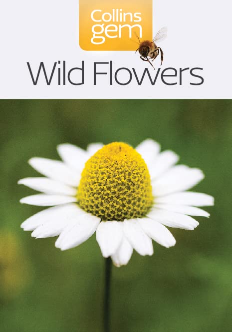 Book cover titled Wild Flowers with a bee icon and a white daisy photo.