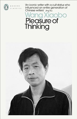 Book cover featuring a portrait of Wang Xiaobo, author of "Pleasure of Thinking.