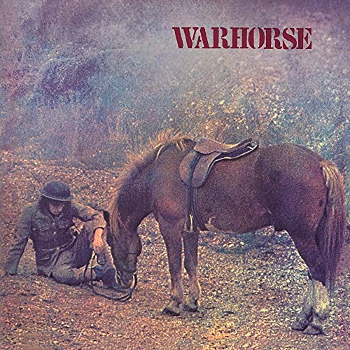 Soldier tending to a brown horse with a saddle in a field.