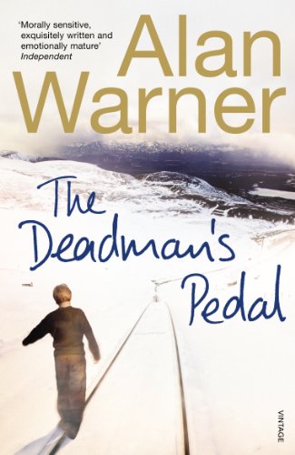 Book cover: snowy mountain landscape with a lone figure on skis.