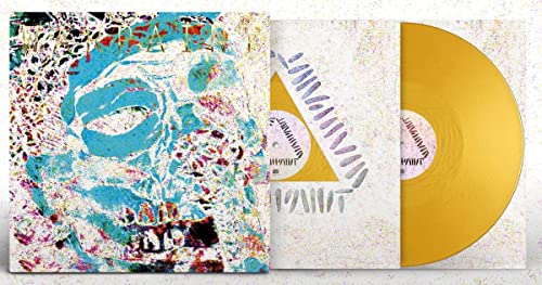 Warpaint vinyl record with abstract blue cover art and a solid yellow vinyl disc.
