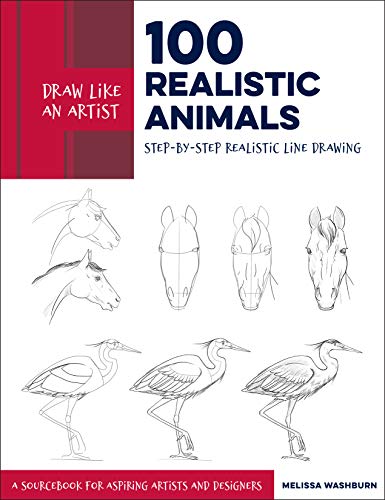 Book cover featuring step-by-step line drawings of horses and birds.