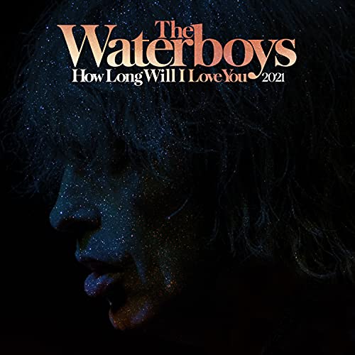 The Waterboys album cover: a portrait with starry, dark background.